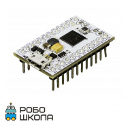 Iskra JS Mini
